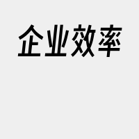 企业效率