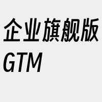企业旗舰版GTM