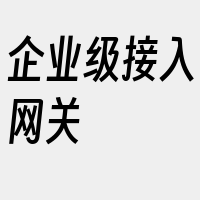 企业级接入网关