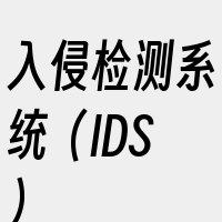 入侵检测系统（IDS）