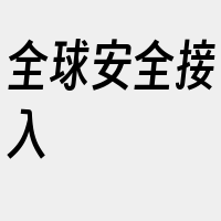 全球安全接入