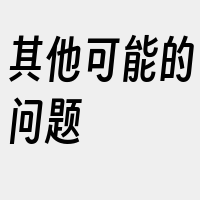 其他可能的问题