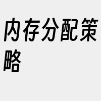 内存分配策略