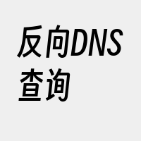 反向DNS查询