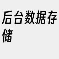 后台数据存储