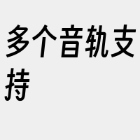 多个音轨支持