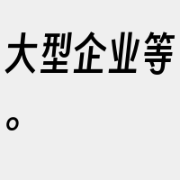 大型企业等。