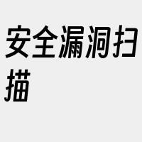 安全漏洞扫描