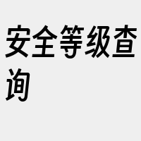 安全等级查询