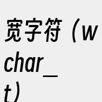 宽字符（wchar_t）