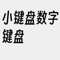 小键盘数字键盘