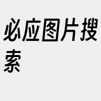 必应图片搜索