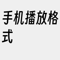 手机播放格式