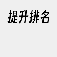 提升排名