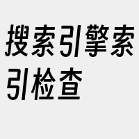 搜索引擎索引检查