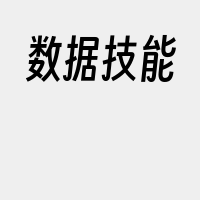 数据技能