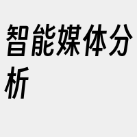 智能媒体分析