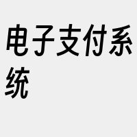 电子支付系统