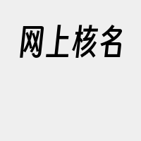 网上核名