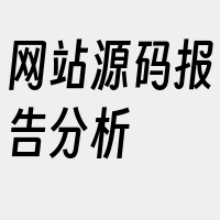 网站源码报告分析