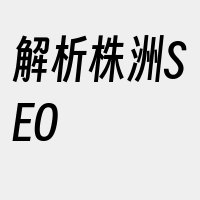 解析株洲SEO