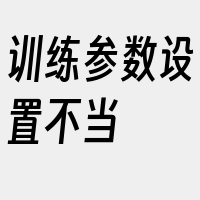 训练参数设置不当