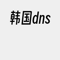 韩国dns