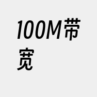 100M带宽