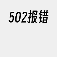 502报错