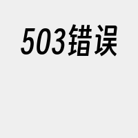 503错误