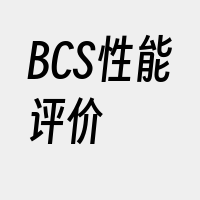 BCS性能评价