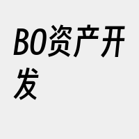 BO资产开发