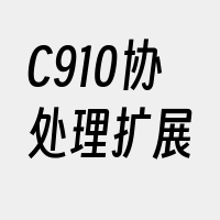 C910协处理扩展