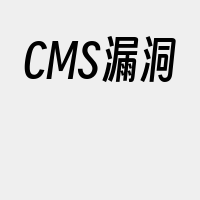 CMS漏洞