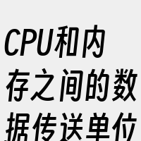 CPU和内存之间的数据传送单位