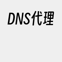 DNS代理