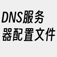 DNS服务器配置文件