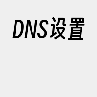 DNS设置