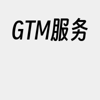 GTM服务