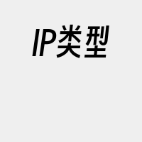 IP类型