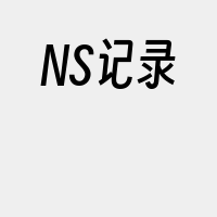 NS记录