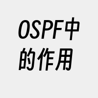 OSPF中的作用