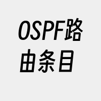 OSPF路由条目