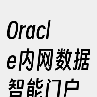 Oracle内网数据智能门户