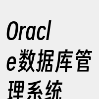 Oracle数据库管理系统