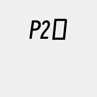 P2口