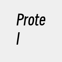 Protel