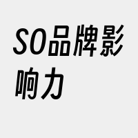 SO品牌影响力