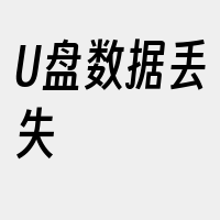 U盘数据丢失