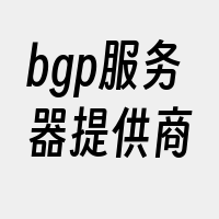 bgp服务器提供商